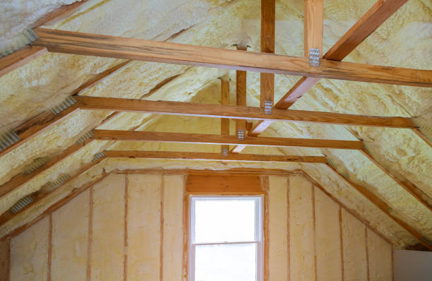 Best Eco-Friendly Insulation in Helena, AL